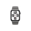 Silver / Stone Gray / GPS