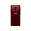 Burgundy Red